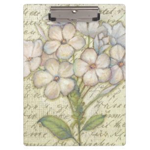 Carpeta De Pinza Vivo