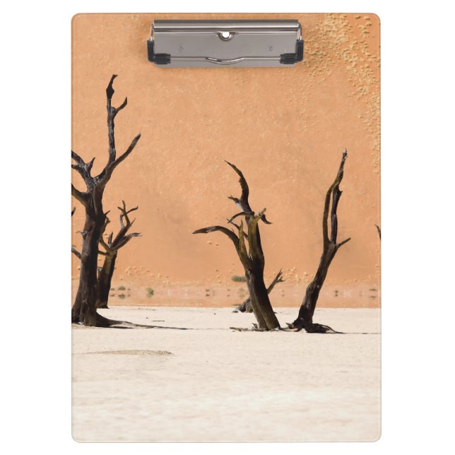 Carpeta De Pinza Vlei muerto, Namibia (Anverso)