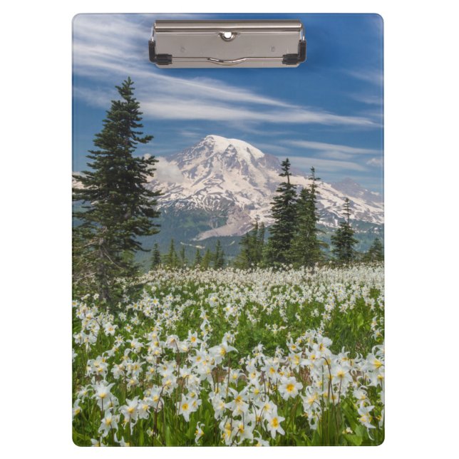 Carpeta De Pinza Washington, Parque Nacional Mount Rainier 1 (Anverso)