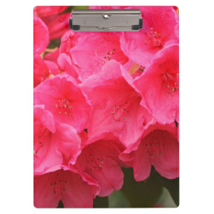 Carpeta De Pinza Washington, Seattle, Puget Sound, Discovery Park