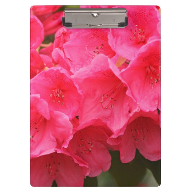 Carpeta De Pinza Washington, Seattle, Puget Sound, Discovery Park (Anverso)