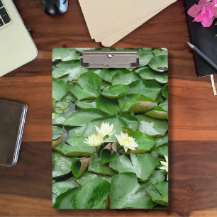 Carpeta De Pinza Water Lillies