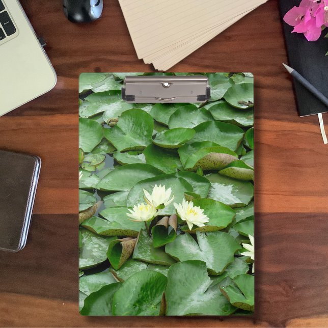 Carpeta De Pinza Water Lillies (Subido por el creador)