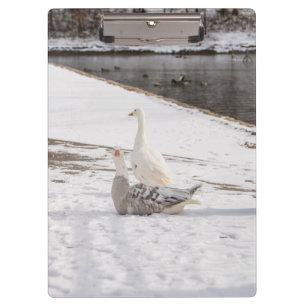 Carpeta De Pinza Whats Up Goose