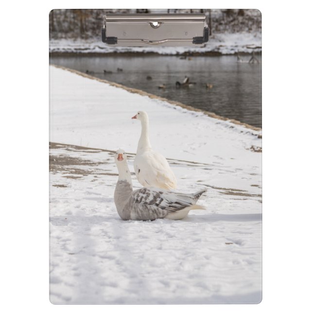 Carpeta De Pinza Whats Up Goose (Anverso)