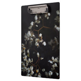Carpeta De Pinza White moody flowers on dark background