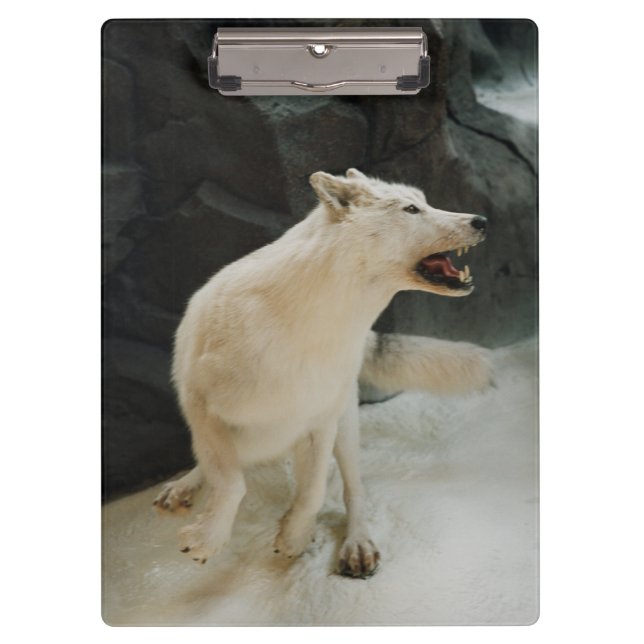 Carpeta De Pinza White Wolf (Anverso)