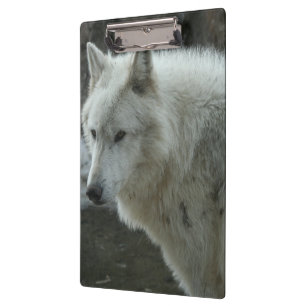Carpeta De Pinza White Wolf