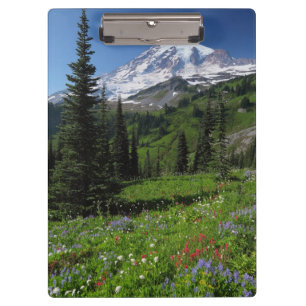 Carpeta De Pinza Wildflowers en el Monte Rainier