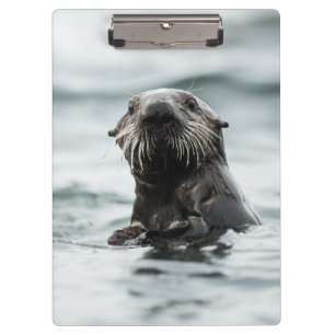 Carpeta De Pinza Wise Otter