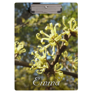 Carpeta De Pinza Witch Hazel Flowers
