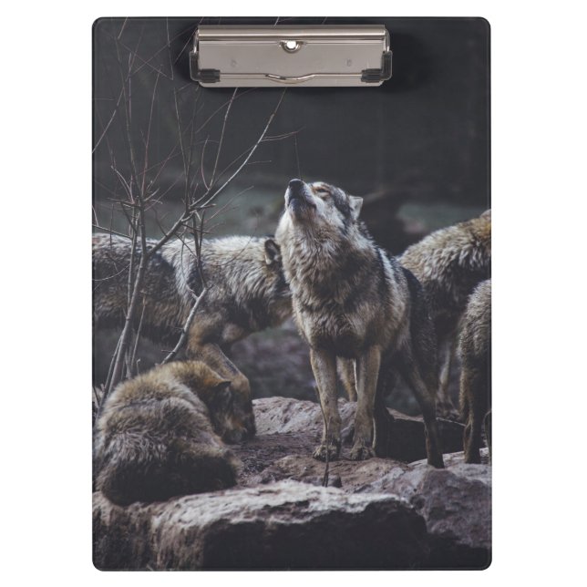 Carpeta De Pinza Wolf Pack (Anverso)