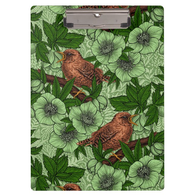 Carpeta De Pinza Wren y hellebore, verde claro (Anverso)