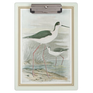 Carpeta De Pinza Zancos Negro-Necked por el agua