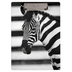 Carpeta De Pinza Zebra