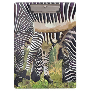 CARPETA DE PINZA ZEBRAS
