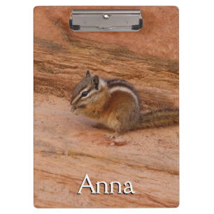 Carpeta De Pinza Zion Chipmunk sobre las rocas rojas