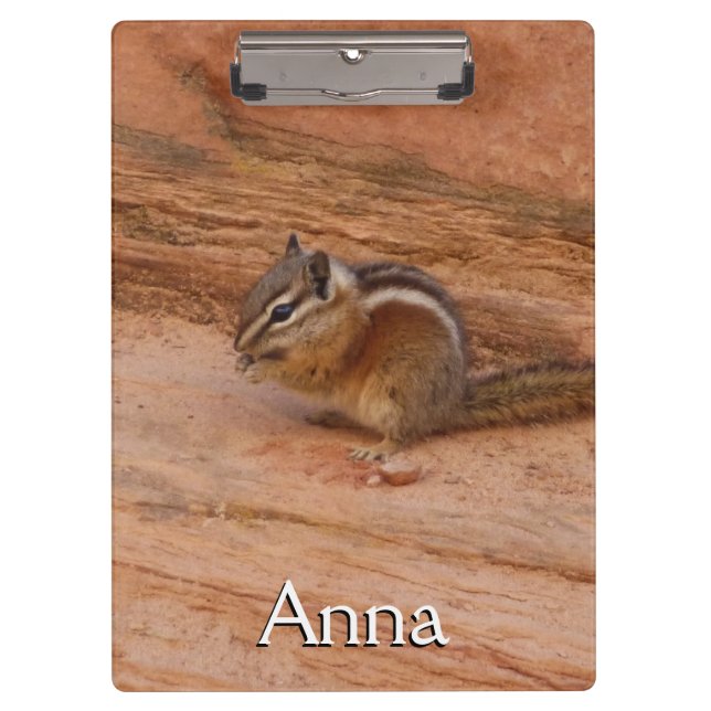 Carpeta De Pinza Zion Chipmunk sobre las rocas rojas (Anverso)