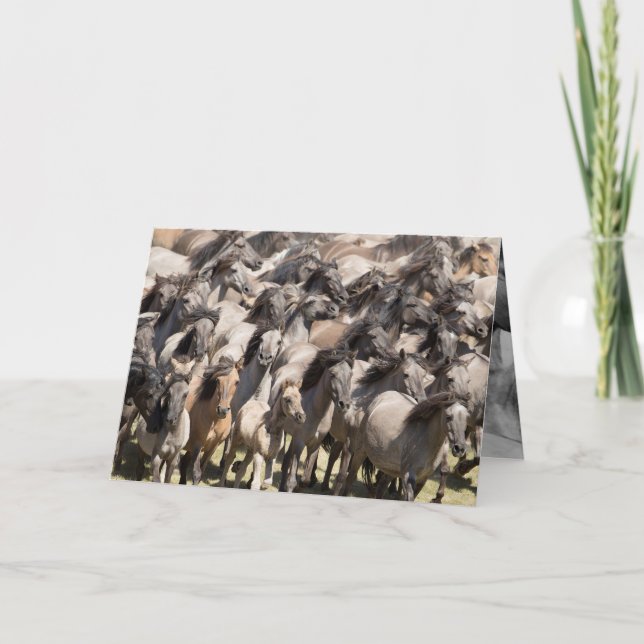 Carrera silvestre - Tarjeta de saludo para caballo (Anverso)