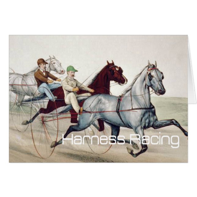 Carreras de arnés SUPERIORES (Anverso (Horizontal))