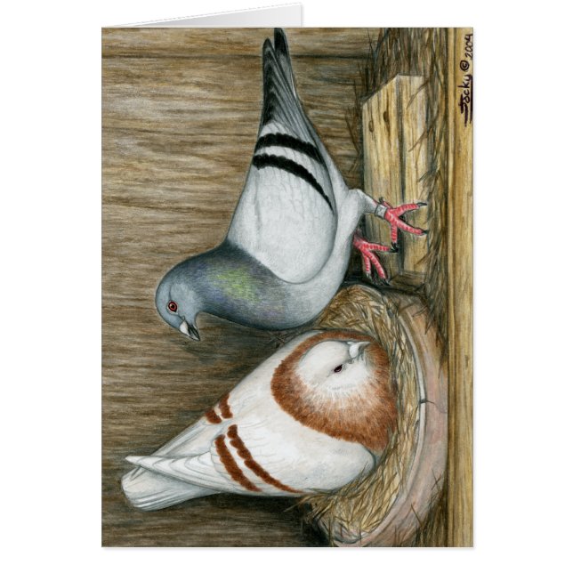 Carreras Hogar Vida (Frente)