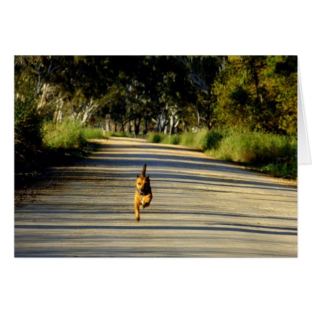 ¡Carreras para ti! (Anverso (Horizontal))