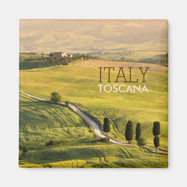 Carretera blanca en el paisaje toscano imán de tex (Frente)