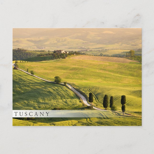 Carretera blanca en el paisaje toscano postal (Anverso)