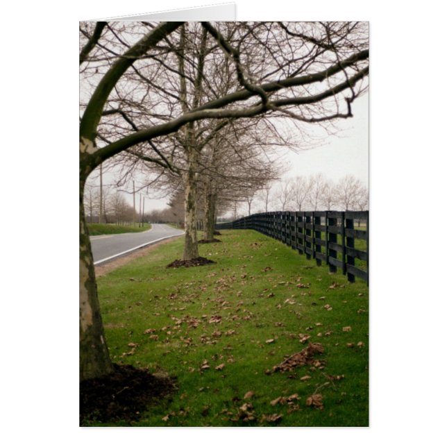 Carretera de campo (Frente)