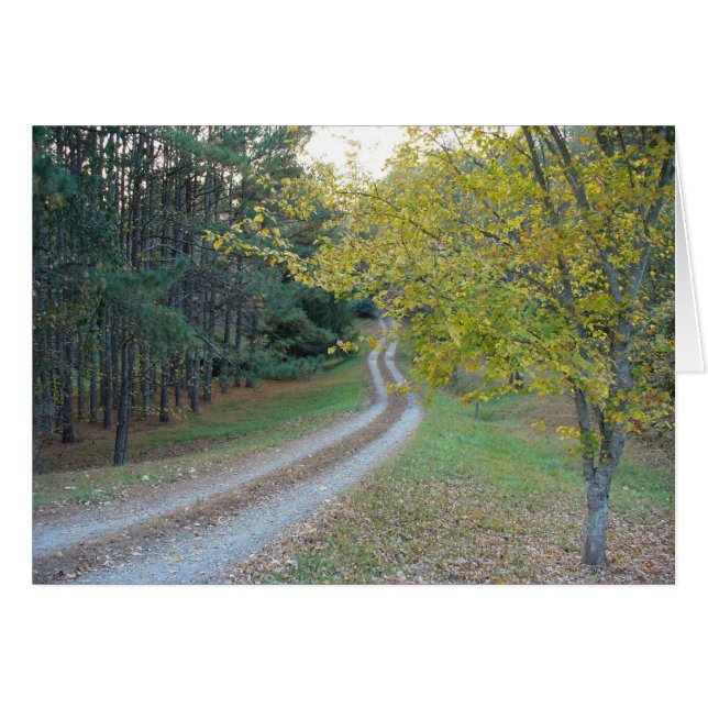 Carretera de campo (Anverso (Horizontal))