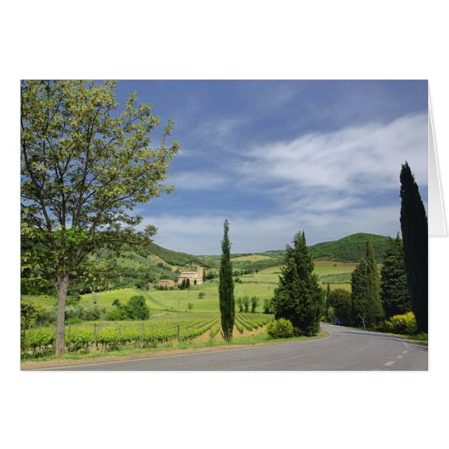 Carretera de campo que se curva entre cipreses en (Anverso (Horizontal))