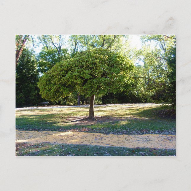 carretera de ladrillo amarillo 2 postal (Anverso)