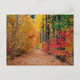 Carretera de otoño, postal