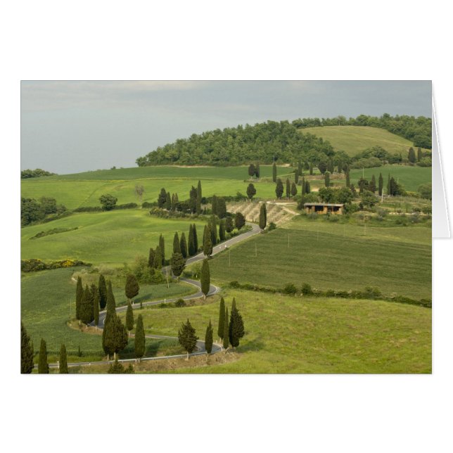 Carretera de Pienza a Montepulciano, (Anverso (Horizontal))