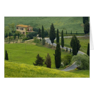Carretera de Pienza a Montepulciano, 2