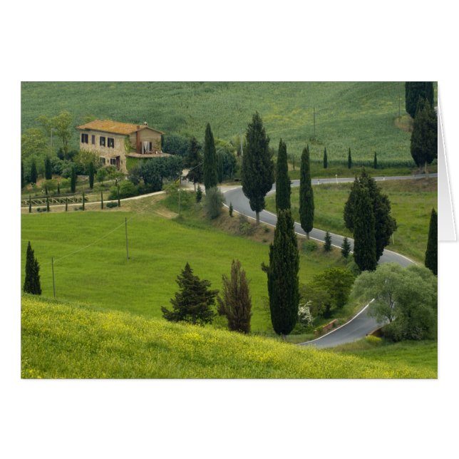 Carretera de Pienza a Montepulciano, 2 (Anverso (Horizontal))