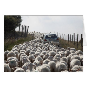 carretera de tierras de cultivo toscana, auto bloq