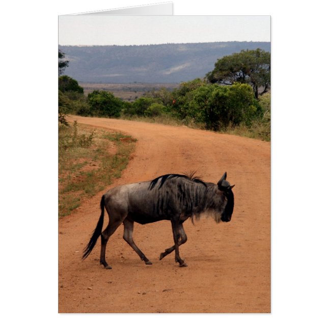 carretera de wildebeest (Frente)