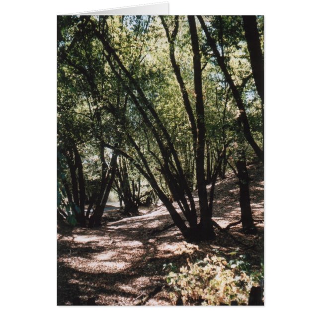 Carretera Dry Creek (Frente)