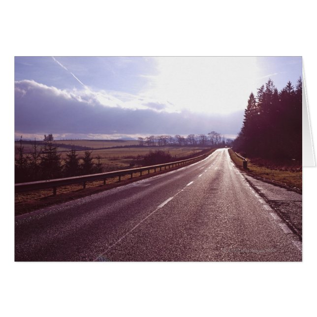 Carretera principal con bajo sol invernal. (Anverso (Horizontal))