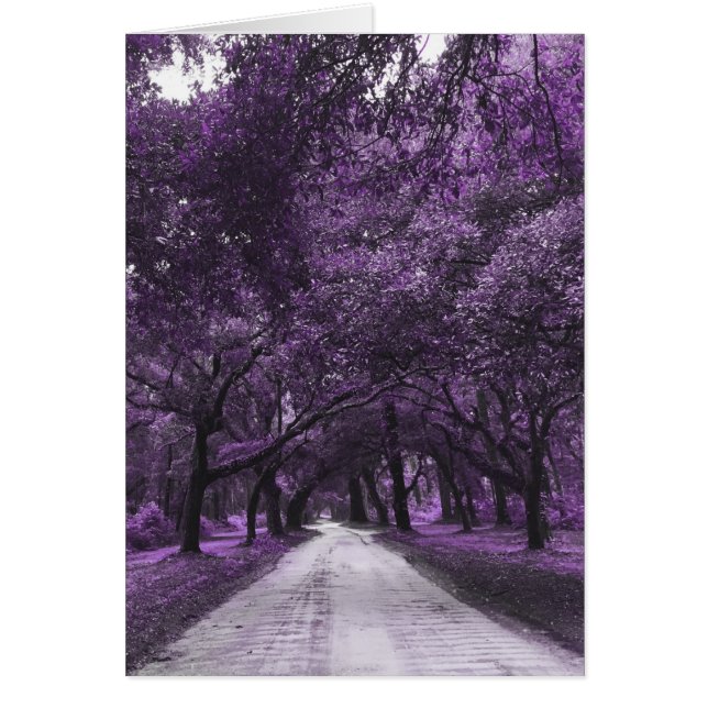 carretera Santee (Frente)
