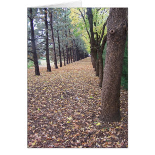 Carril del otoño de Colorado