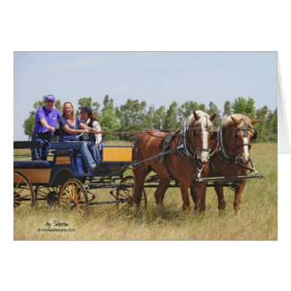 Carro belga del caballo de proyecto