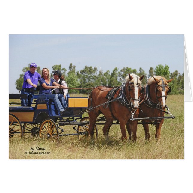 Carro belga del caballo de proyecto (Anverso (Horizontal))