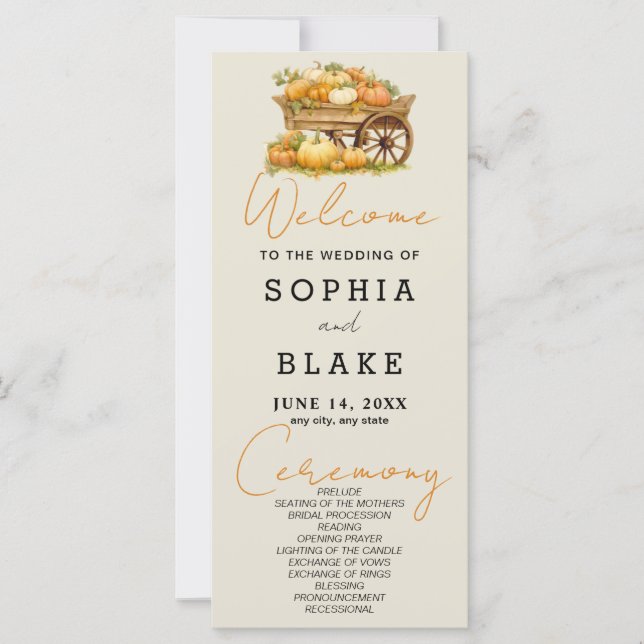 Carro de calabazas cae Programa de Boda Blanca Ash (Anverso)