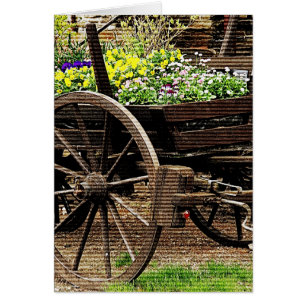 Carro de Flores