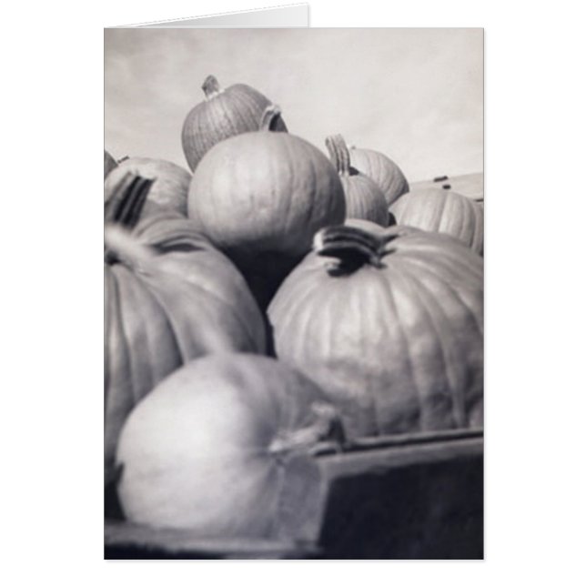 Carro de la calabaza (Frente)