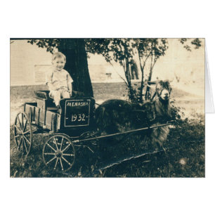 Carro que viaja