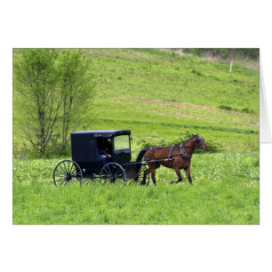 Carro y caballo Amish cerca de Berlín, Ohio.