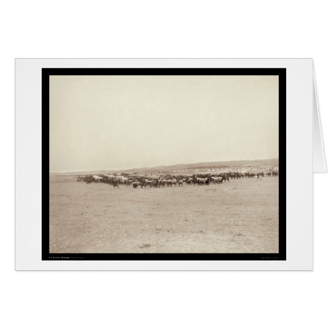 Carros de la fuente y mulas SD 1887 del paquete (Anverso (Horizontal))